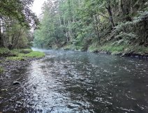 Želivka v Pořící