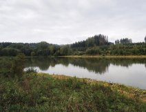 PK2 - Pohled na mou oblbenou st pehrady. Takto zarostl vzestupn beh je asto hlavnm mukaovm soupeem.