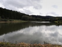 PK2 - Z hrze lov drtiv vtina ryb, asto s velkm spchem! Jedno z TOP mst na PK2.