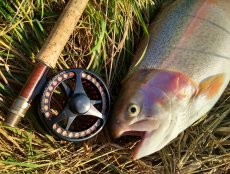 Mukaen na revru RS Vysoina - kompletn informace