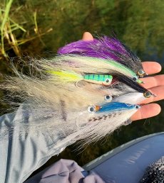 Pro a jak lovit s moskmi streamery ve sladkch vodch - lnek