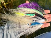 Proč a jak lovit s mořskými streamery ve sladkých vodách