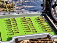 TOP n nymfy Vojty Ungra