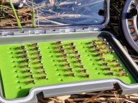 TOP Říční nymfy Vojty Ungra