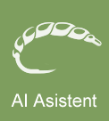 AI Asistent