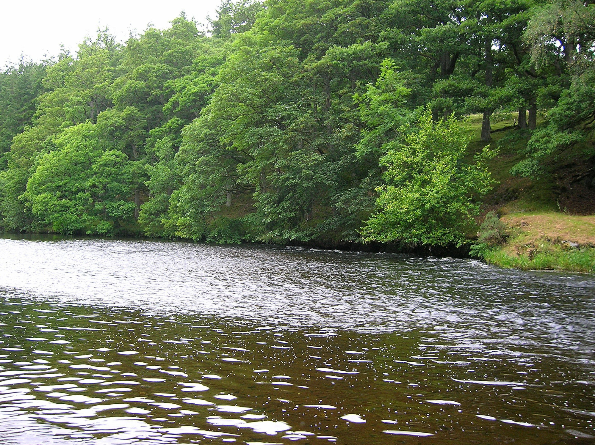 Pictures from Welsh rivers | CzechNymph.cz