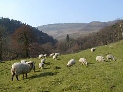 Krajina oblasti Peak District