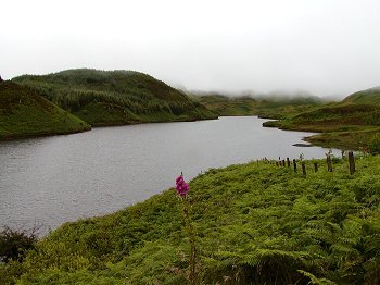Jezírko u města Oban