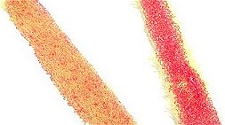 Furry Foam - detail materilu