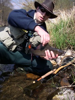 Lipan 45 cm