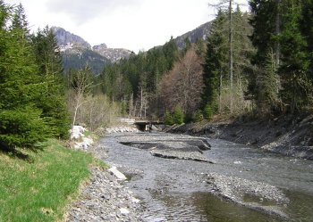 ráj