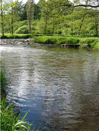 Mže 6, jez u osady Ústí