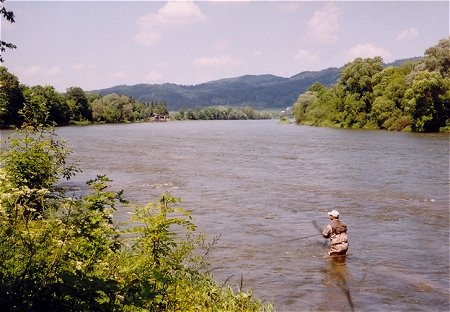 ME 2005 Polsko - Dan Svrek pi trninku na ece San