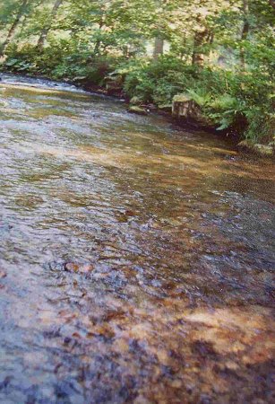 Krupá