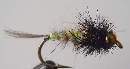 goldhead fluorescenční