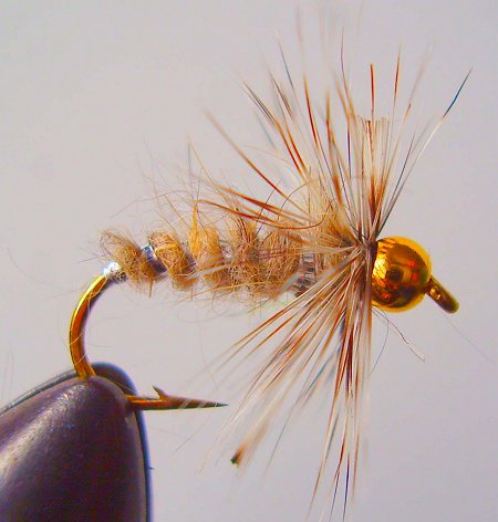 goldhead