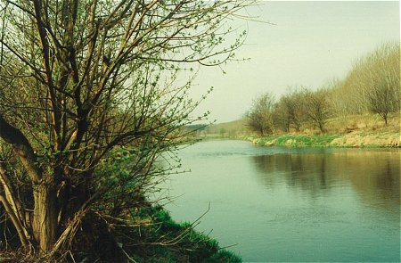Bolenov sek Svratky 1 u Pouzdan