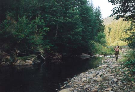 Zdolvn pstruha na Bl Ostravici