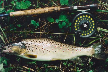  ,Velk pstruh z Bl Ostravice