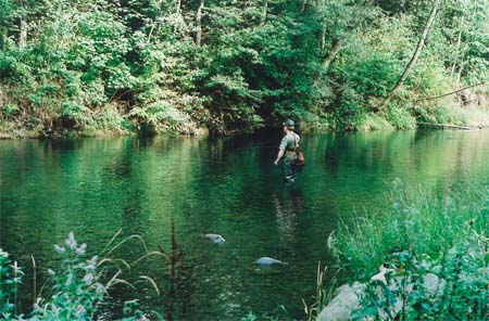 Na Ostravici 4 nad Ostravic