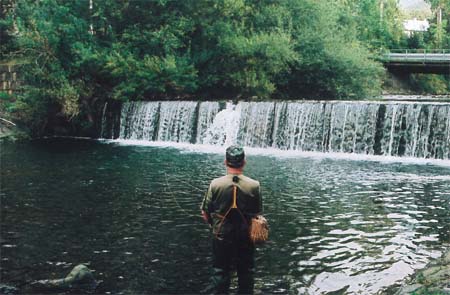 Na eladence nad eladnou