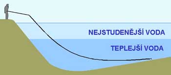 Taktika lovu v zimním období