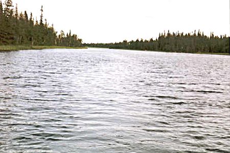 eka Vojman-mukask sek (zde chycen pstruh 50cm).