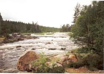 Horn sek mukaskho revru na ece Tannan