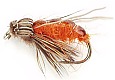Oranžová pupa chrostíka
