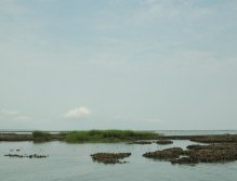 Typical flat of the Lowcountry