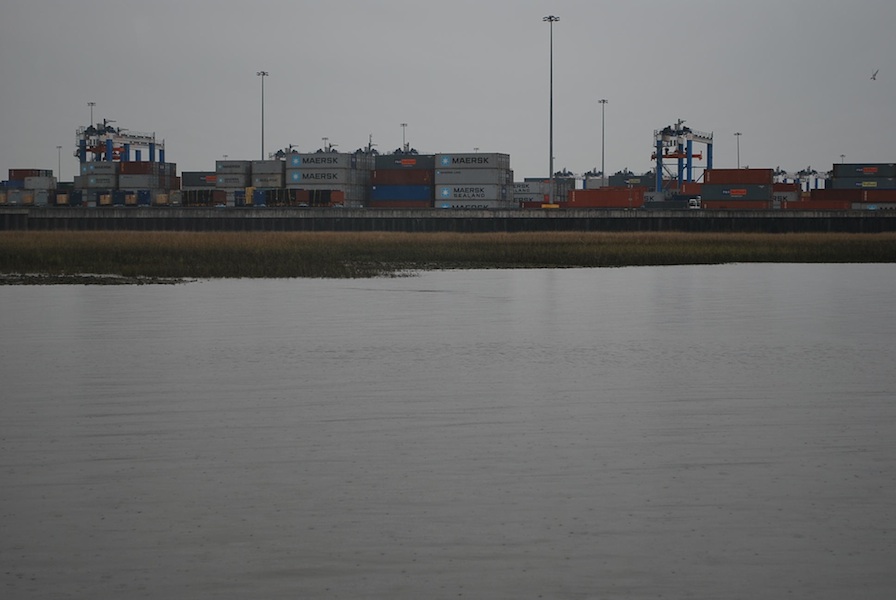 Busy Charleston Port with an approaching school of reds