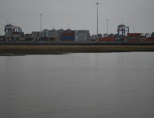 Busy Charleston Port with an approaching school of reds