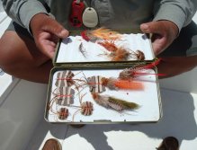 Hand-tied saltwater flies