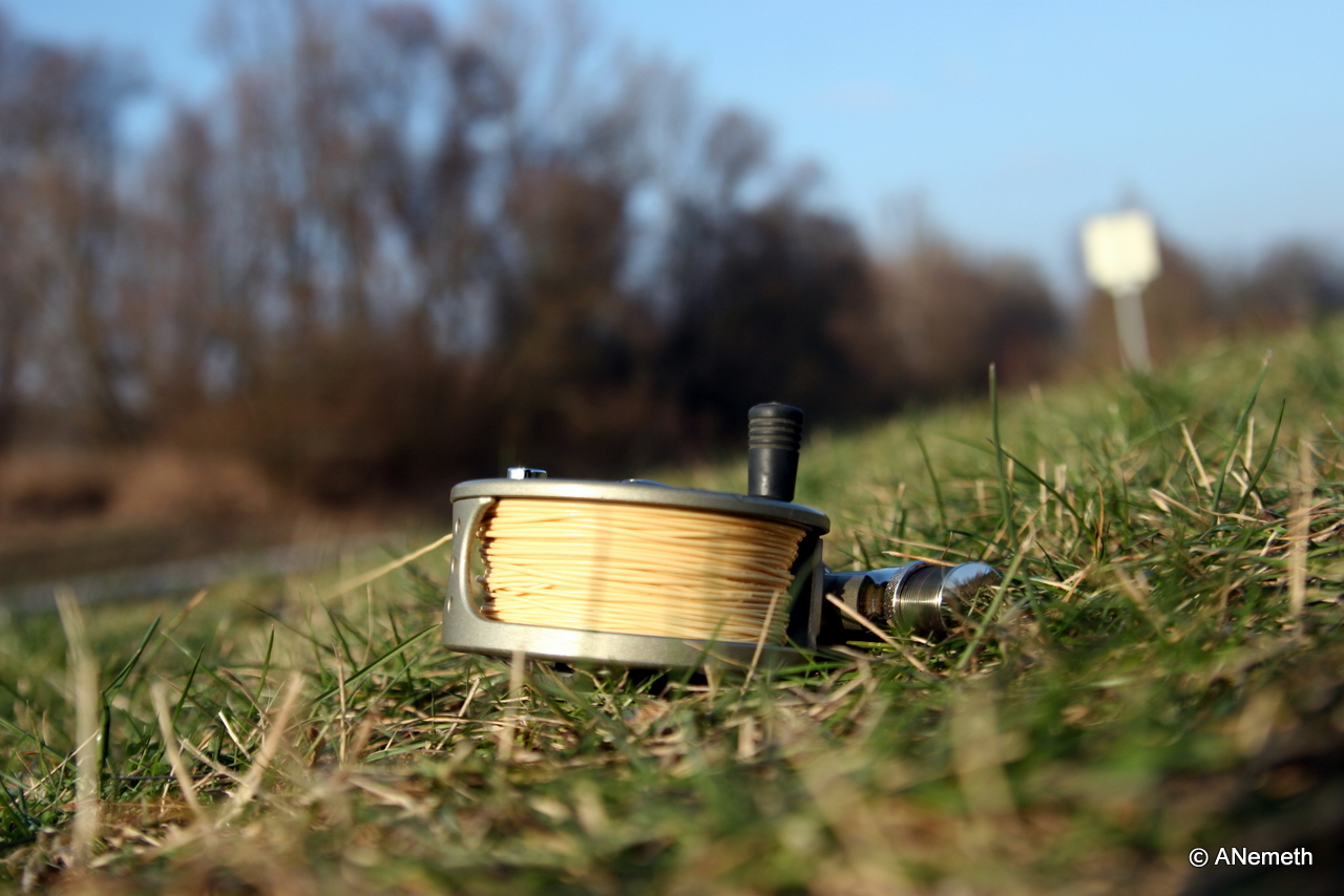 What a day at the river