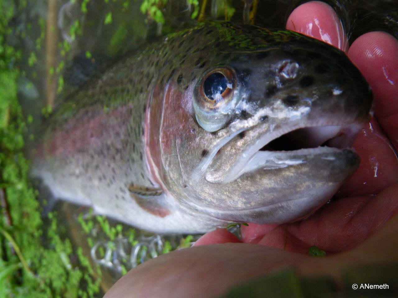 We all love rainbows