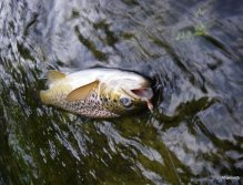 Just take your time beauty :)