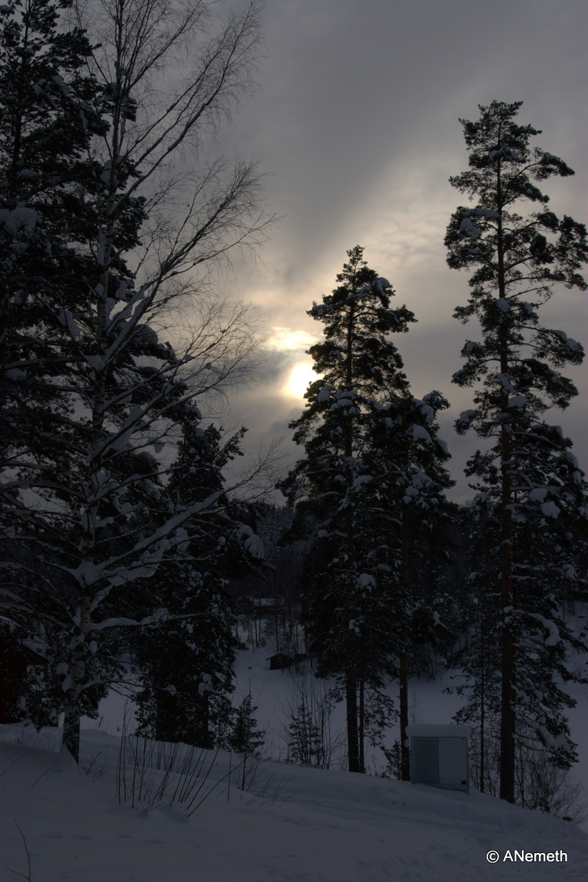 Rare occasion of seeing winter sun