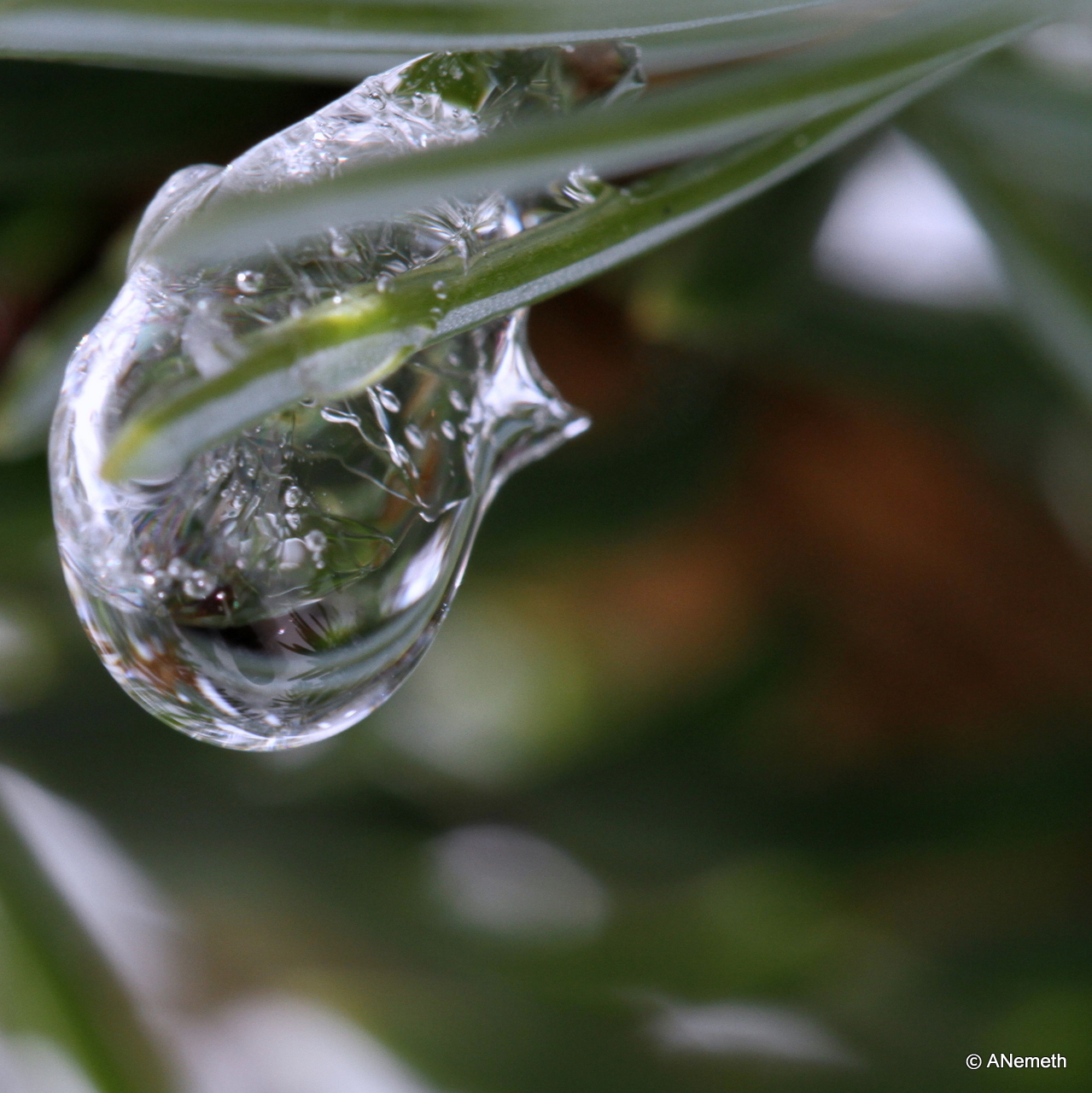 Frozen dropplet reflection