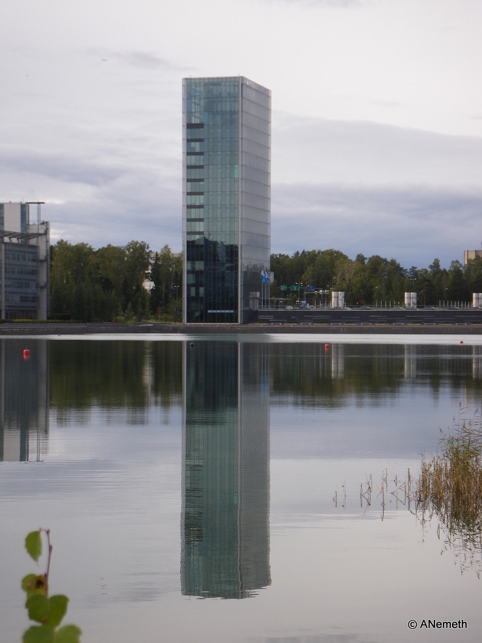 Reflection in the sea