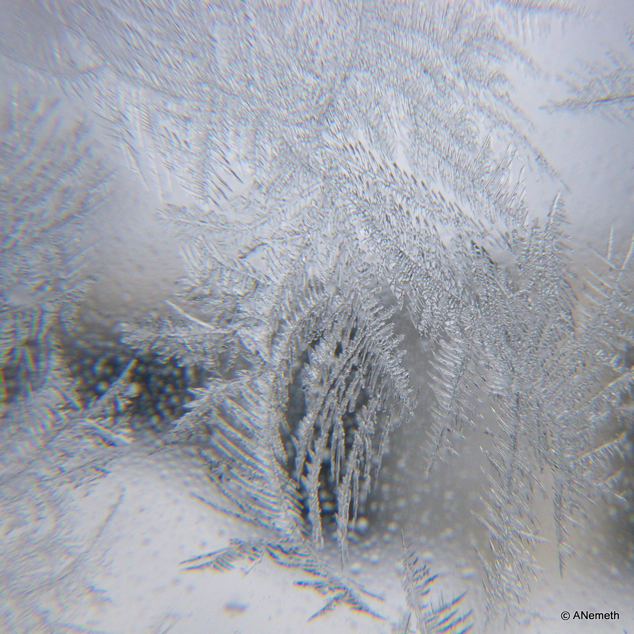 Mother nature's winter wonder