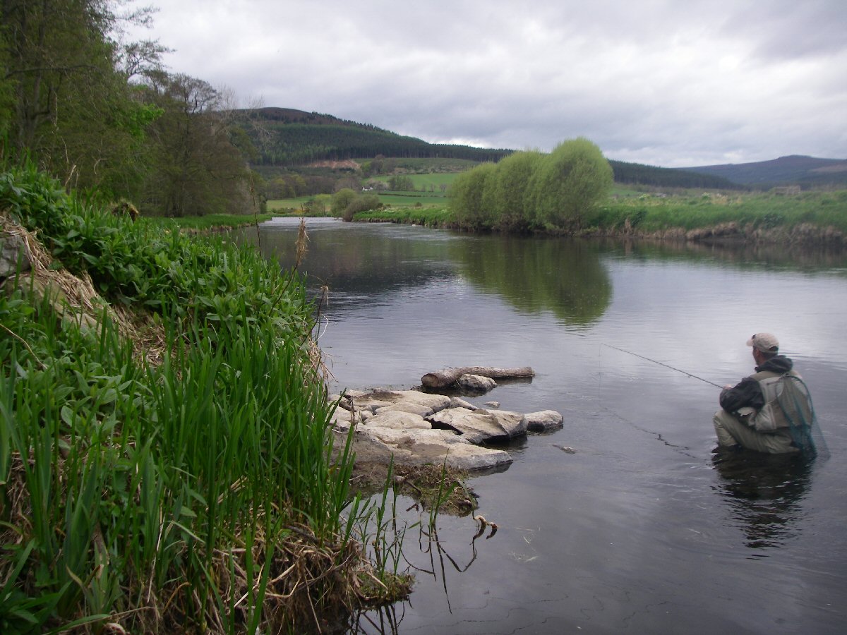 Waiting for a rise close to the bank