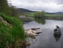 Waiting for a rise close to the bank