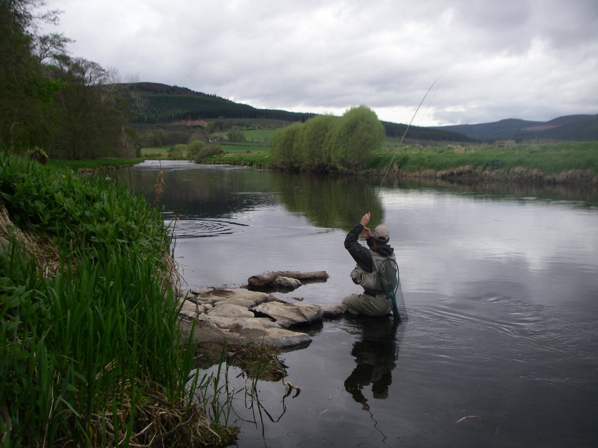 Moments after the strike, a big trout makes a bid for freedom