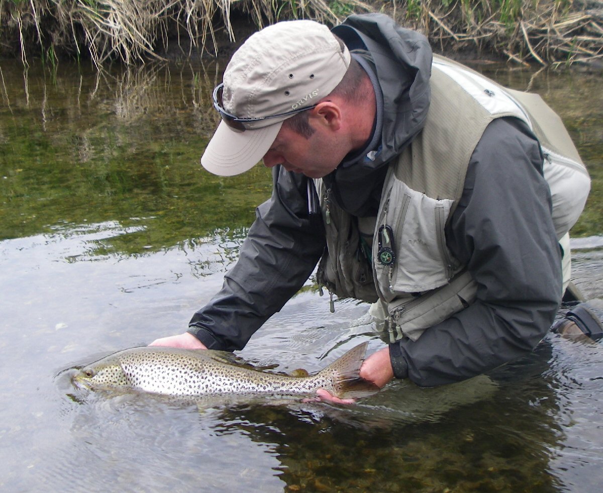 Carefully returned to fight another day