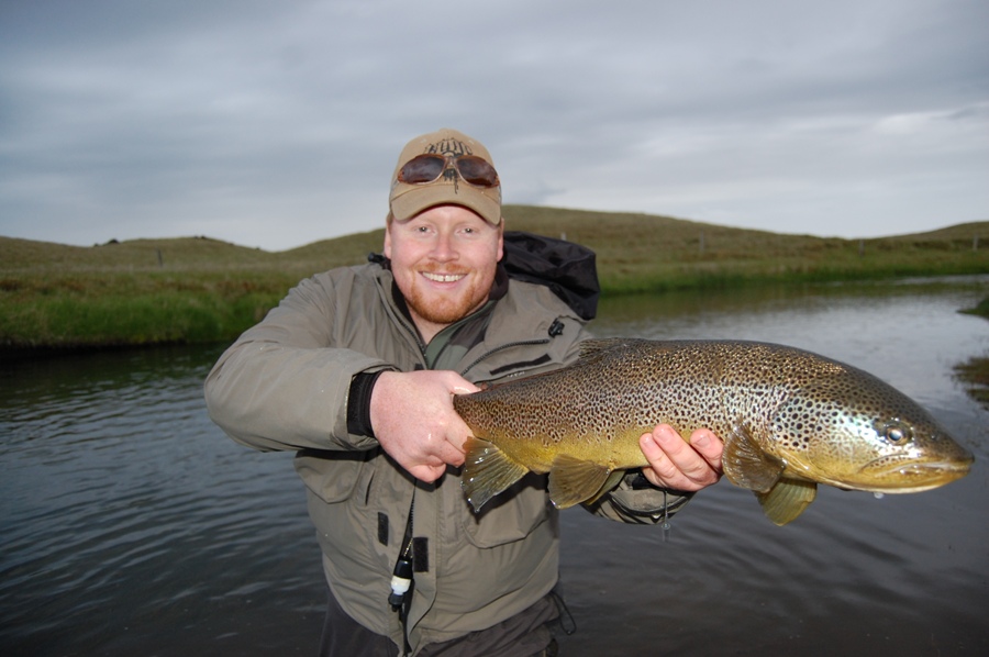  A beautiful brown from Minnivallalaekur in the volcanic part of Iceland