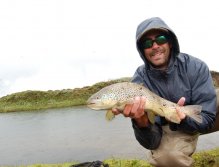 A nice specimen from the Svarta river in the north of Iceland