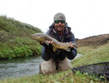 The spring fed water in the Svarta river produces some fantastic brown trout