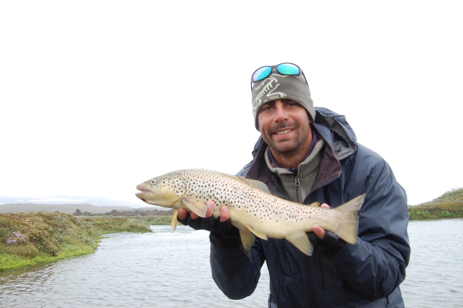 Another fine brown trout from the Svarta river