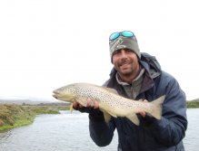 Another fine brown trout from the Svarta river