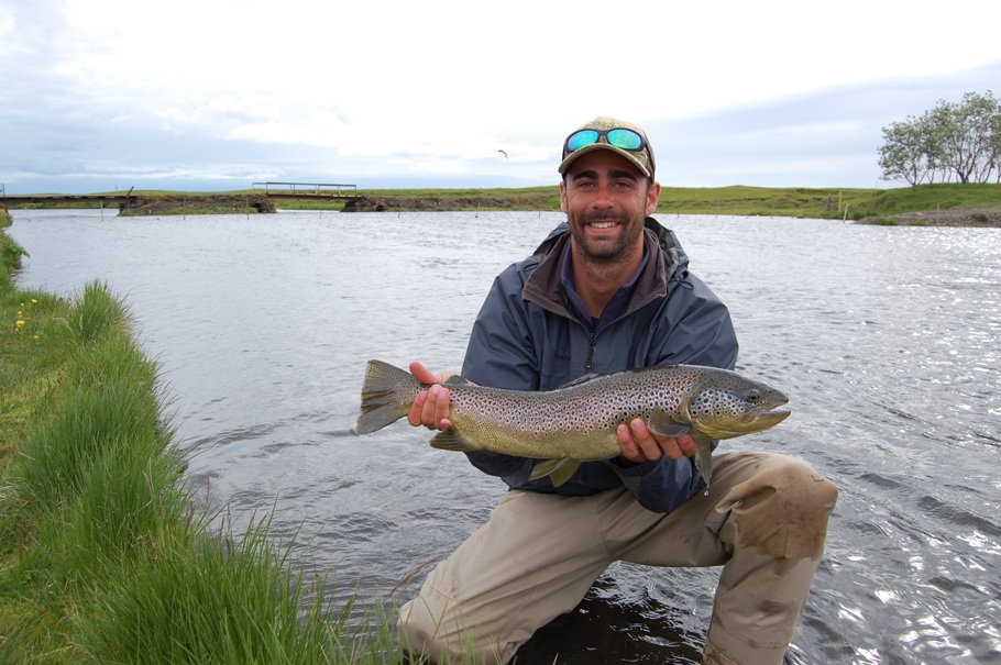 These spring fed rivers in the volcanic part of Iceland surely produce some big brown trout